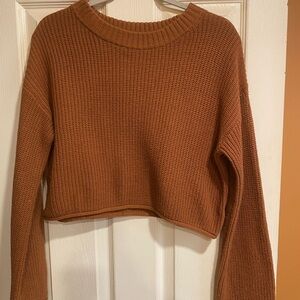 Wild Fable Rust Sweater
